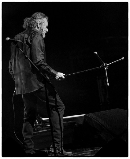 Robert Plant by Clemens Mitscher Rock & Roll Fine Arts